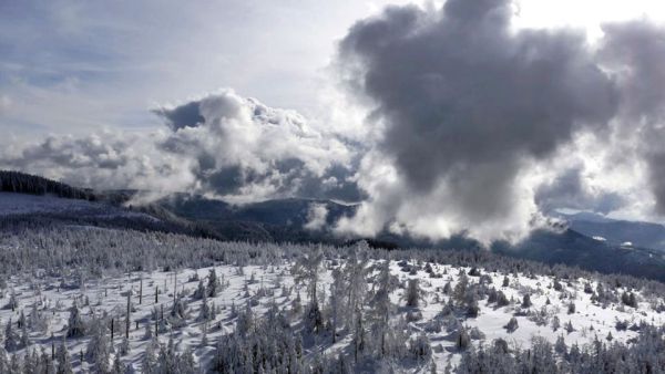 Ein Winter im Schwarzwald