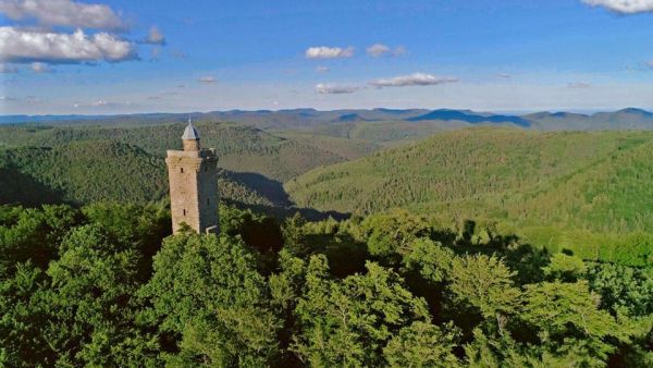 Der Pfälzerwald rund ums Jahr