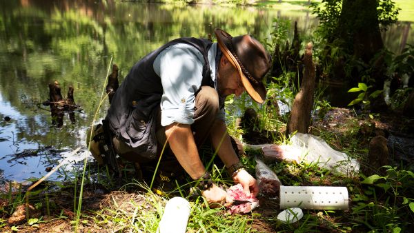 Faszinierende Tierwelt mit Coyote Peterson