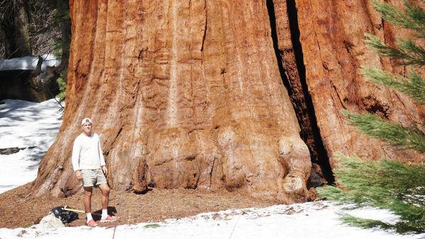 Wild Frank - Abenteuer in Kalifornien