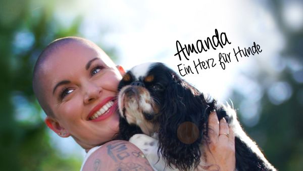 Amanda - Ein Herz für Hunde