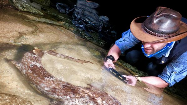 Faszinierende Tierwelt mit Coyote Peterson