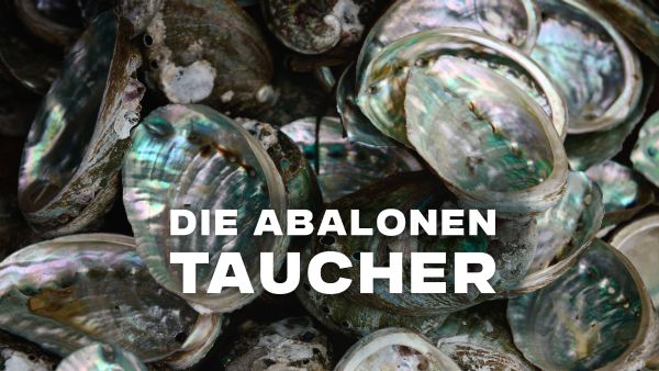 Die Abalonen-Taucher