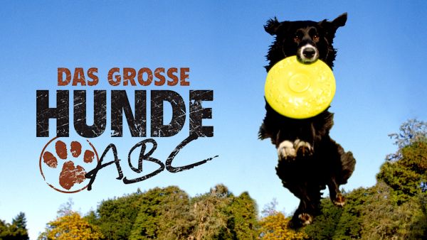 Das große Hunde-ABC: Best Of