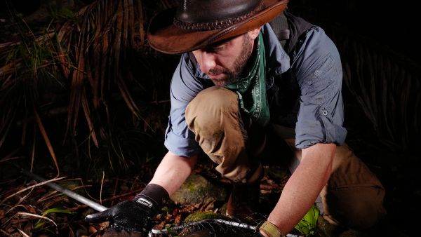 Faszinierende Tierwelt mit Coyote Peterson