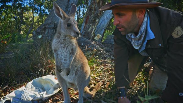 Faszinierende Tierwelt mit Coyote Peterson