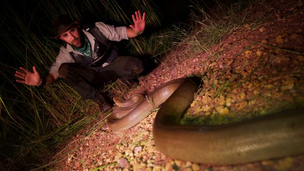 Faszinierende Tierwelt mit Coyote Peterson