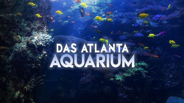 Das Atlanta-Aquarium
