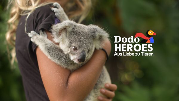 Dodo Heroes - Aus Liebe zu Tieren