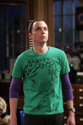 The Big Bang Theory