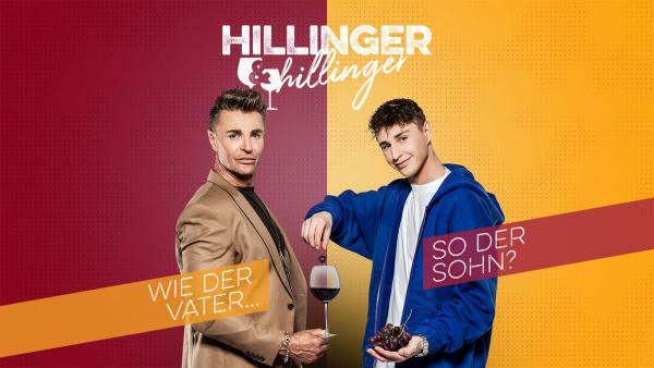 Hillinger & Hillinger