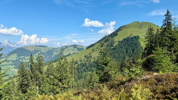 Heimat Österreich