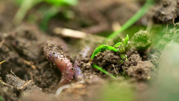 Unser Wetter: Zwischen Dürre und Flut