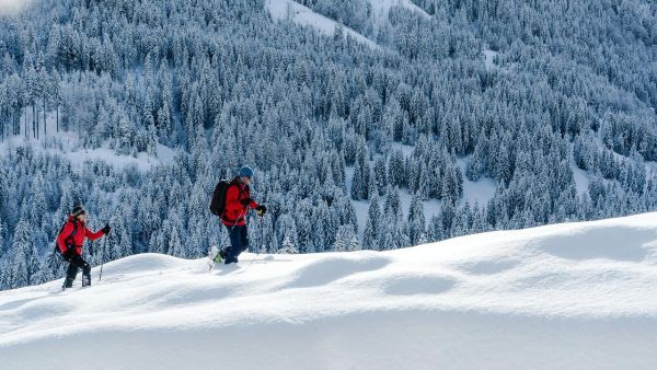 Land der Berge