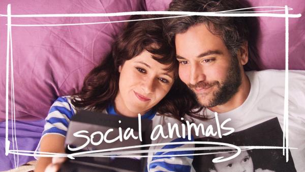 Social Animals Social Animals