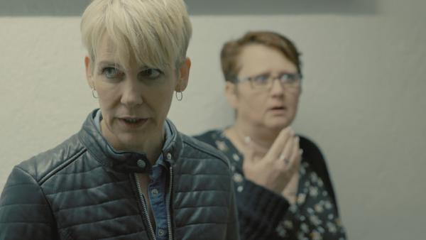 K11 - Die neuen Fälle