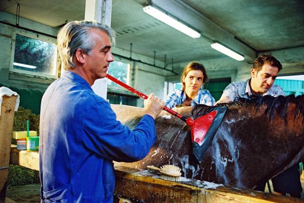 Edel & Starck Edel & Starck