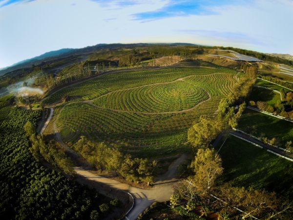 Unsere große kleine Farm