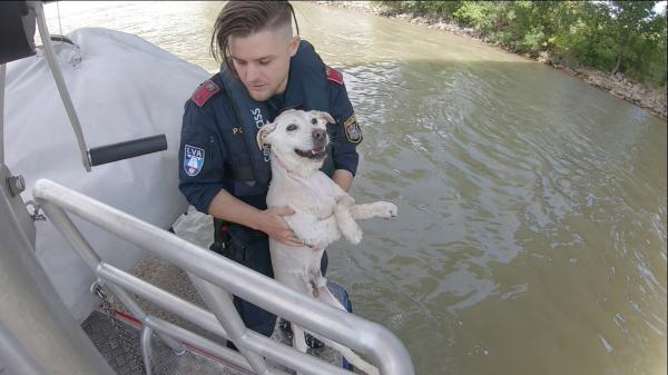 Donau Polizei